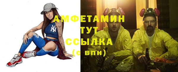 гашик Богданович
