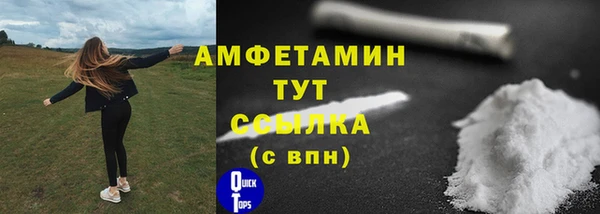 гашик Богданович