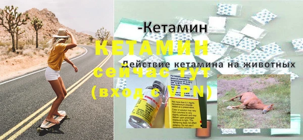 гашик Богданович