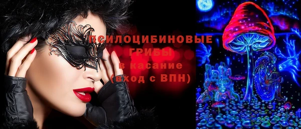 мдма Богородицк