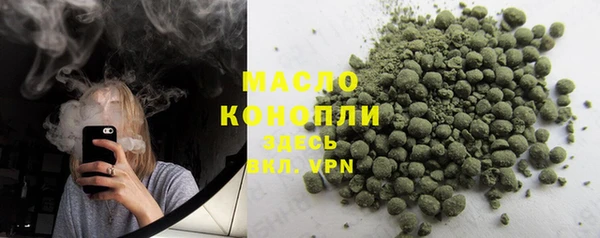 гашик Богданович