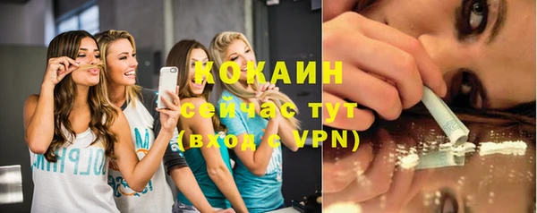 гашик Богданович