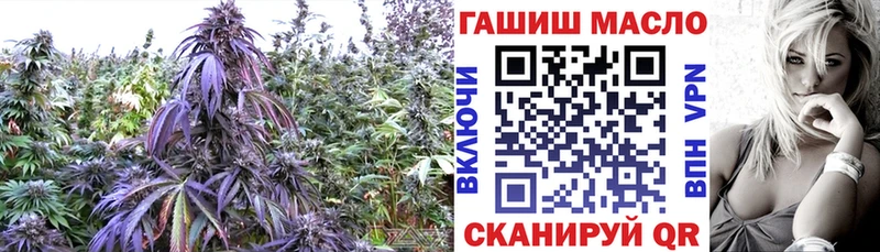 Купить  Усолье-Сибирское  Дистиллят ТГК концентрат 