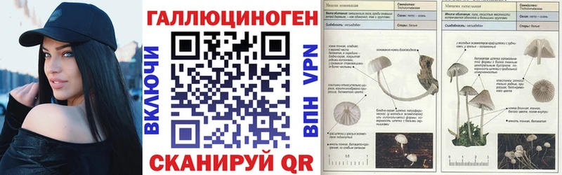 Псилоцибиновые грибы мицелий  Купить закладки  Усолье-Сибирское 